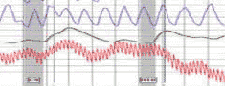 accurate polygraph in Honolulu